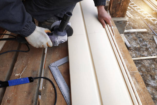 Best Vinyl Siding Installation  in Fort Mohave, AZ