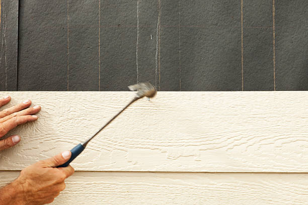 Best Vinyl Siding Installation  in Fort Mohave, AZ